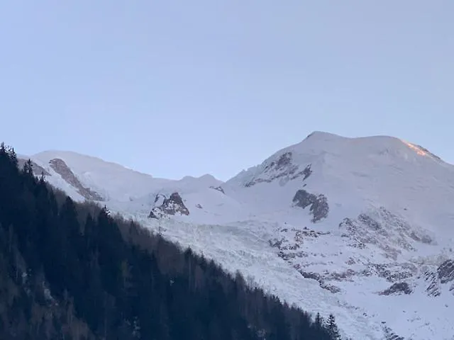 Chalet Mitoyen Le Rusticana Chamonix France
